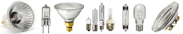 Halogen Light Bulbs